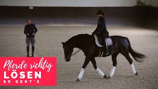 Besser reiten mit Christoph Ackermann | Pferde richtig lösen