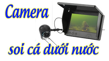 Camera soi cá dưới nước
