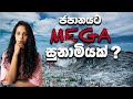 අවුරුදු 80 කට පස්සේ ජපානයට වෙන්න යන මහා විනාශයක් | MEGA EARTHQUKE 2024