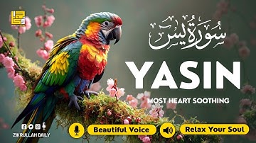 Surah Yasin (Yaseen) سورة يس ✦ Beautiful voice heart touching ✦ Peaceful Quran For Sleep ✦ Alaa Aqel