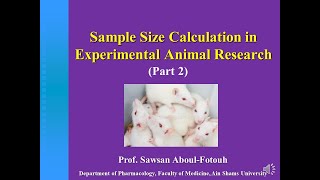 Sample Size Calculation in Experimental Animal Research (Part 2) Prof. Sawsan Aboul-Fotouh screenshot 5