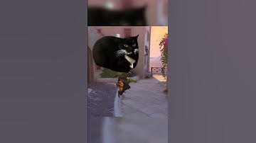 Cat Sombra Spawn Camps Cassidy - Overwatch 2