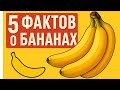 🍌 Бананы  интересные факты и польза