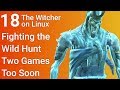 Fighting the Wild Hunt two games too soon - The Witcher on Linux - Part 18