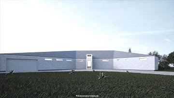 D5 Render Pro animation