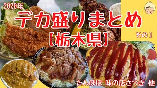 【まとめ】2020年に栃木県で食べたデカ盛り その1【栃木県日光市/小山市/鹿沼市/大田原市/さくら市/高根沢町】