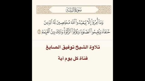 تلاوة الشيخ توفيق الصايغ من سورة البينة