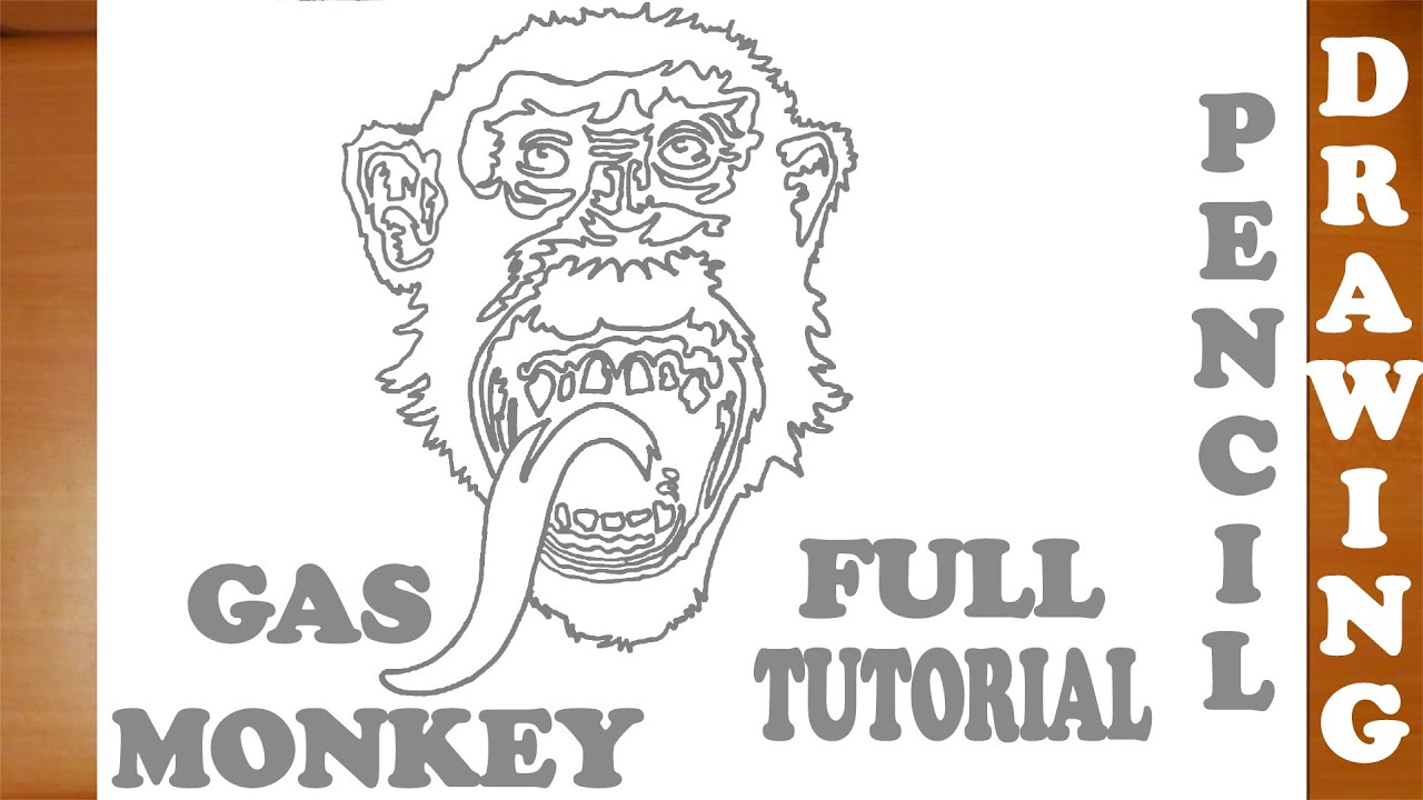 How to Draw a Chimpanzee Monkey Step by Step Easy | PENCIL | DRAWING