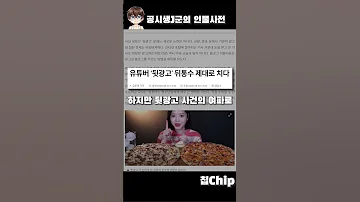 갑자기 사라진 유튜버 칩chip TMI 