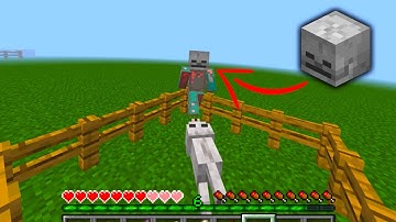 will wolf attack me?