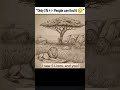 I SAW 5 LION, AND YOU?