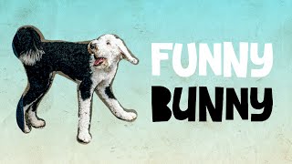 Bunny Being Funny | Bunny The Talking Dog