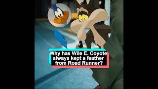 Why has Wile E. Coyote always kept a feather from Road Runner?#LooneyTunes#CoyotevsAcme#WileECo