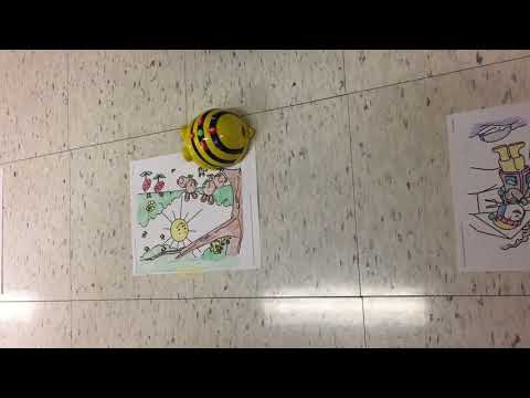 Bee Bot Activity