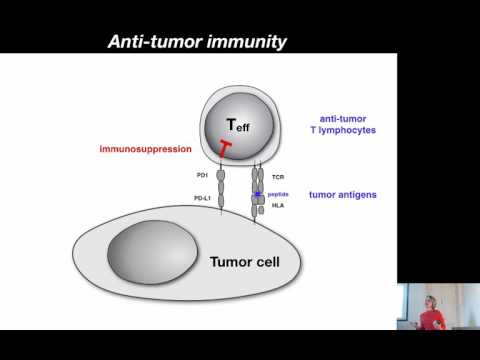 Vidéo: Le Blocage Du TIM3 Soulage L'immunosuppression En Réduisant Les Lymphocytes T Régulateurs Dans Le Cancer De La Tête Et Du Cou