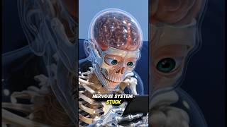 Watch Till The End shorts aicover skeleton