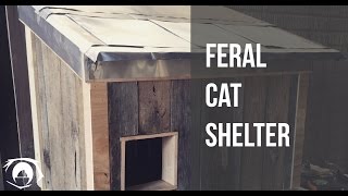 Feral Cat Shelter by Ifiok Obot 42,819 views 7 years ago 7 minutes, 32 seconds