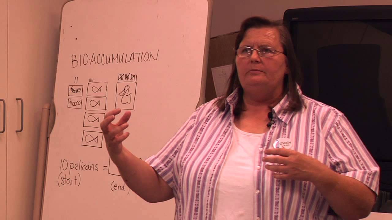 Algalita Gwen Lattin on Plastic Pollution Research