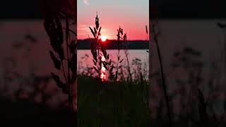 Download Lagu Superman is dead - ketika senja MP3