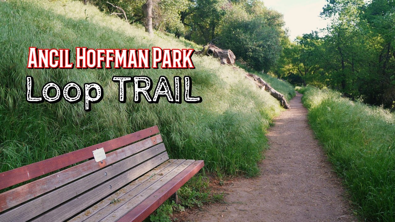 Ancil Hoffman Park loop TRAIL| Carmichael, CA