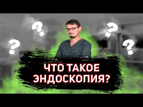 Эндоскопия - подробный обзор темы | Ветеринар эндоскопист