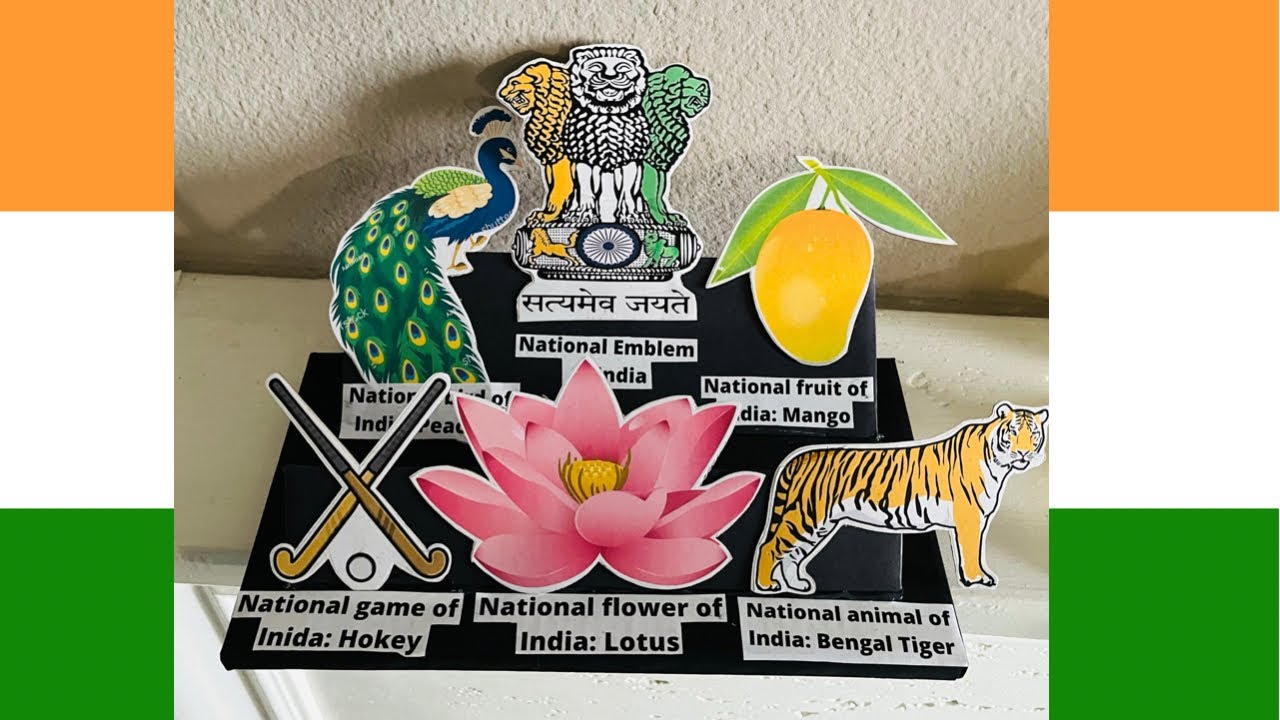 National symbols of India display | Indian Independence day craft ...