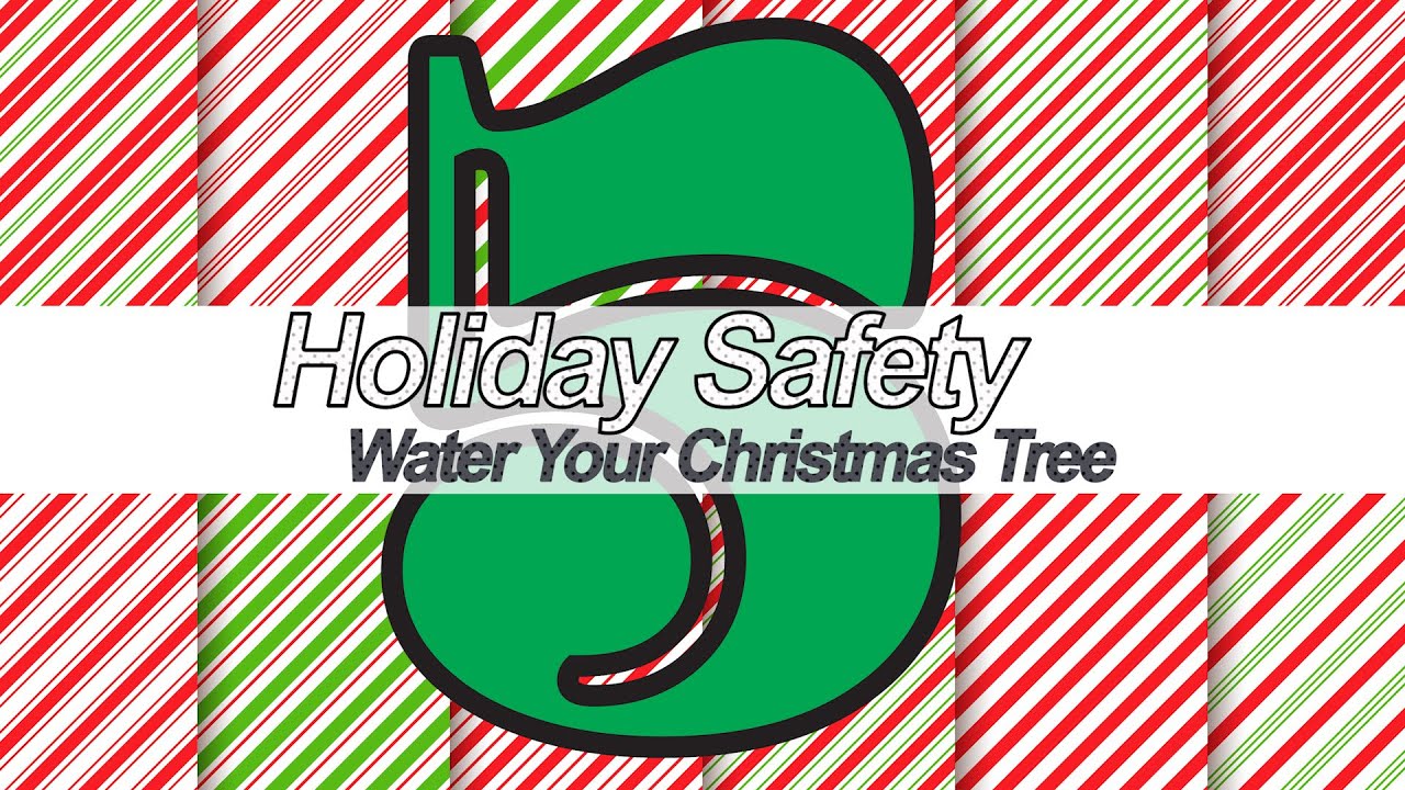 Water Your Christmas Tree - YouTube