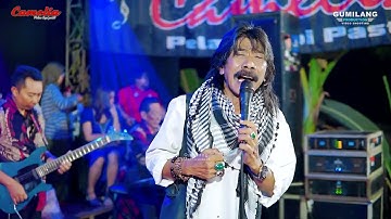 CAMELIA  - PASRAH LUKITO  - WALIMATUL KHITAN - ZULFAN MAULIDAN F.A.M - JAMBU TIMUR MLONGGO JEPARA