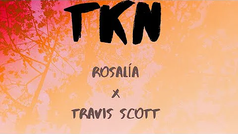 Rosalía, Travis Scott - TKN ( Lyrics)