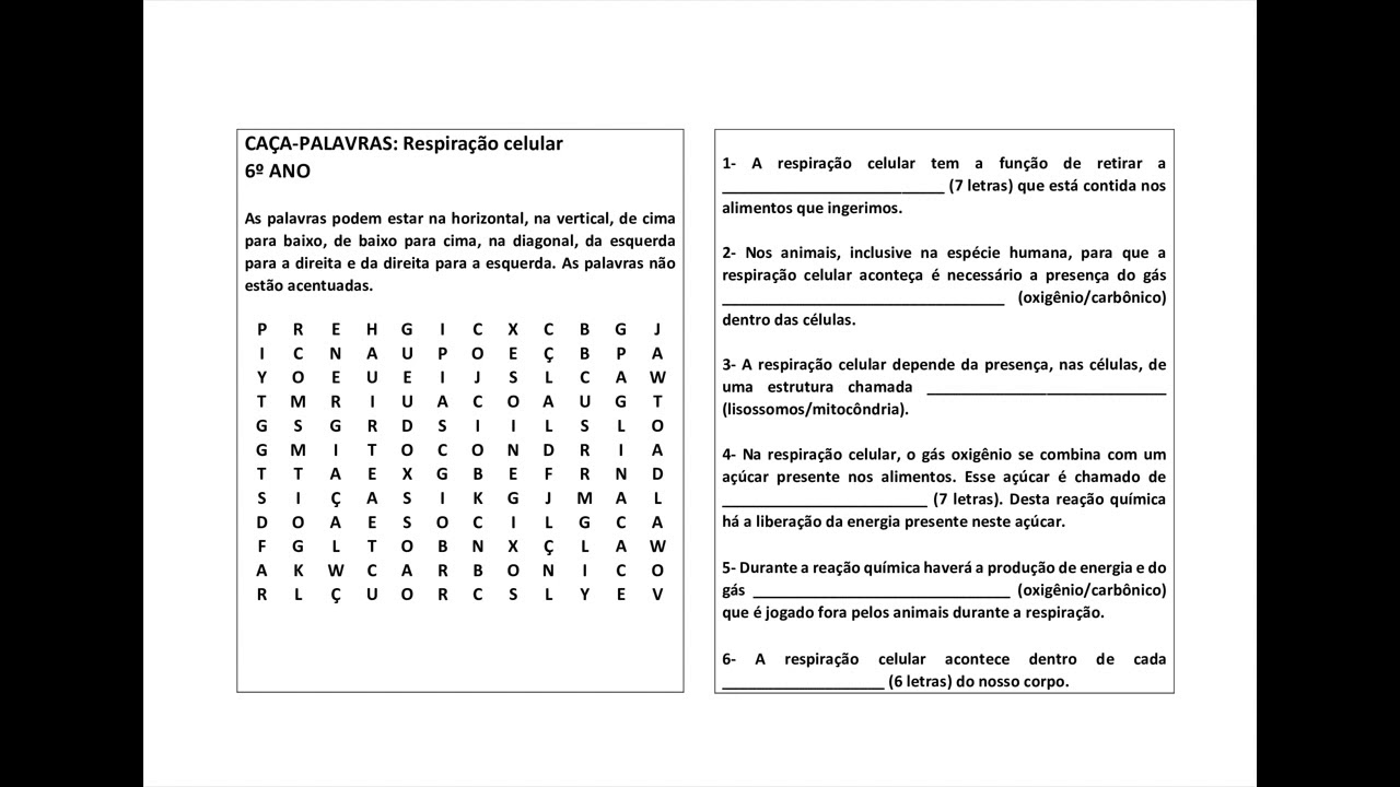 Atividade Caça Palavras Célula Animal