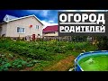 Ревизия на огород родителей, обзор будущего урожая