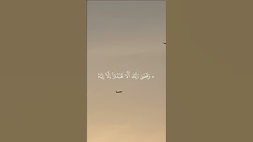 (وقضى ربك ألا تعبدوا إلا إياه)#القارئ_ياسر_الدوسري سورة الإسراء #قران_كريم #لايك  #quran_alkarim