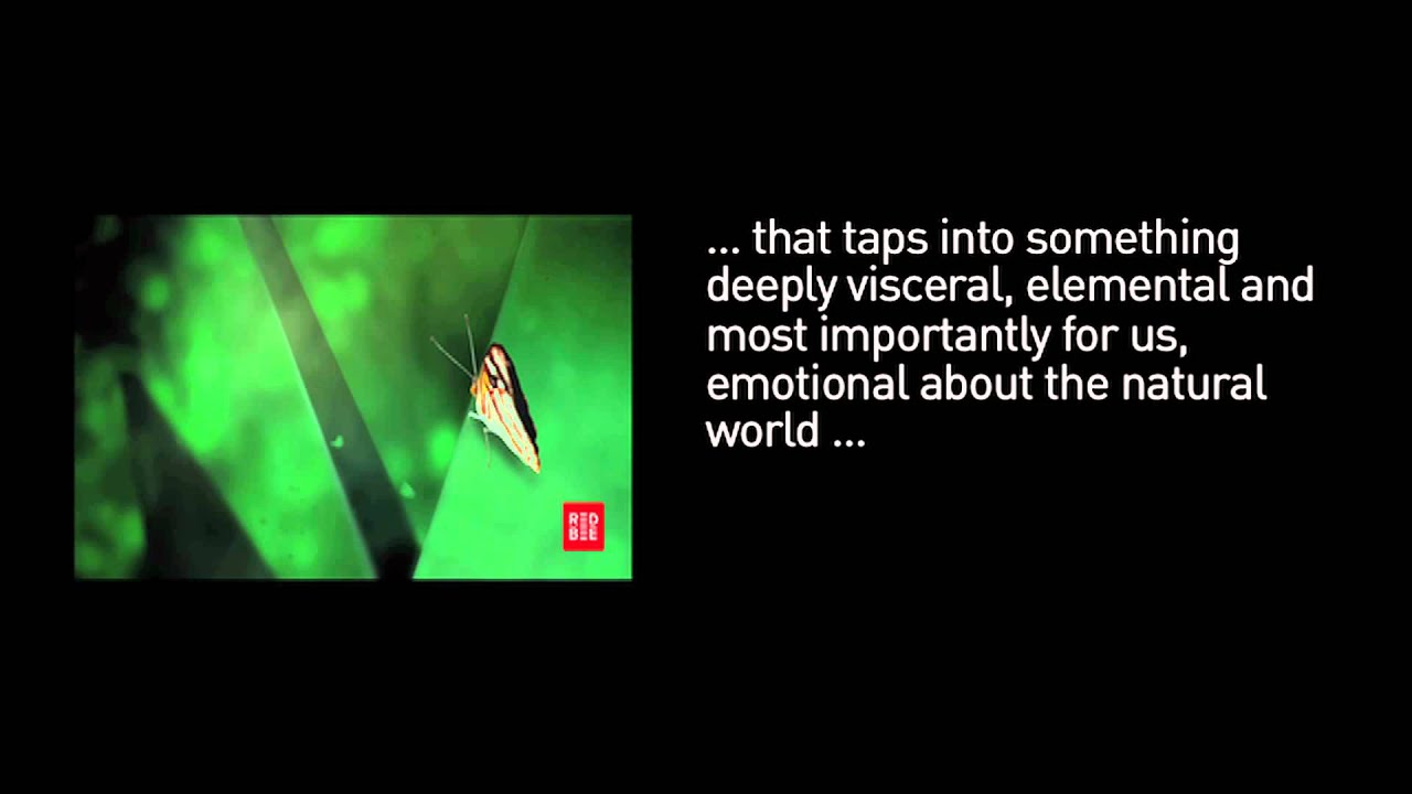 Eden channel audio branding YouTube