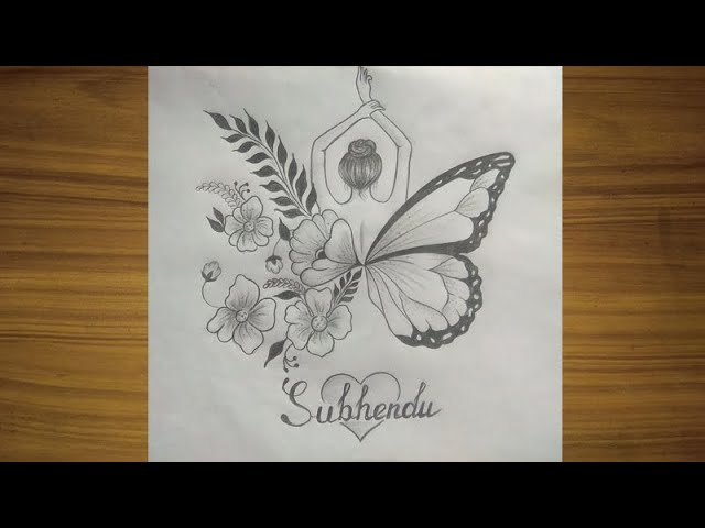 Butterfly Illustration- Pencil on paper by AbbysArtPortfolio on DeviantArt