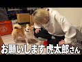 芸を見せる4度目のチャンスをください。