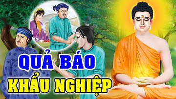 Nhân Quả Báo Ứng Của Khẩu Nghiệp Chửi Rủa Người Nhận Quả Báo Đắng Cay Nhiều Đời - Luật Nhân Quả
