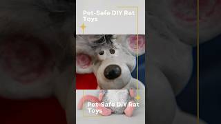 'Creative DIY Rat Toys for Endless Rodent Fun!'