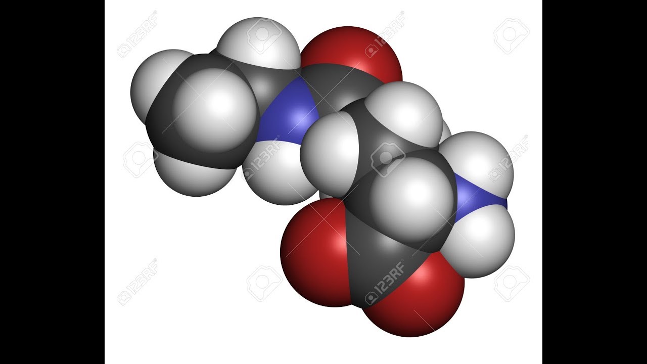 L Theanine Nitric Oxide, Nicotinic Receptors, BBB, Serotonin