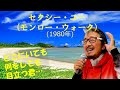 「セクシー・ユー モンロー・ウォーク」 字幕付きカバー 1980年 来生えつこ作詞 南佳孝作曲 郷ひろみ 若林ケン 80歳わが心の昭和歌謡