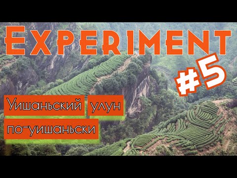 Чайный эксперимент №5- Уишаньский чай по уишаньски