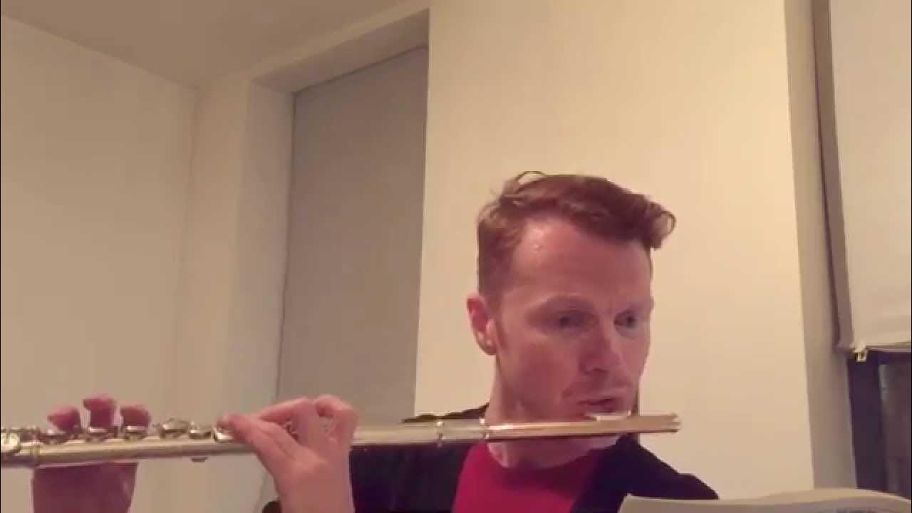 Mozart Flute Quartet in D Major YouTube