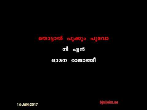 Thottal Pookkum poovo KARAOKE