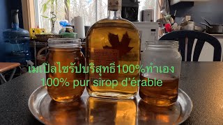 ถึงฤดูกาลเจาะน้ำหวานจากต้นเมเปิ้ลมาทำเมเปิ้ลไซรัปมีปีละครั้ง homemade maple syrup 🍁