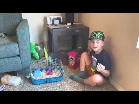 გიორგის ერთი დღე თვითიზოლაციაში