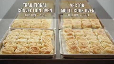 Vector v. Convection Biscuit Challenge