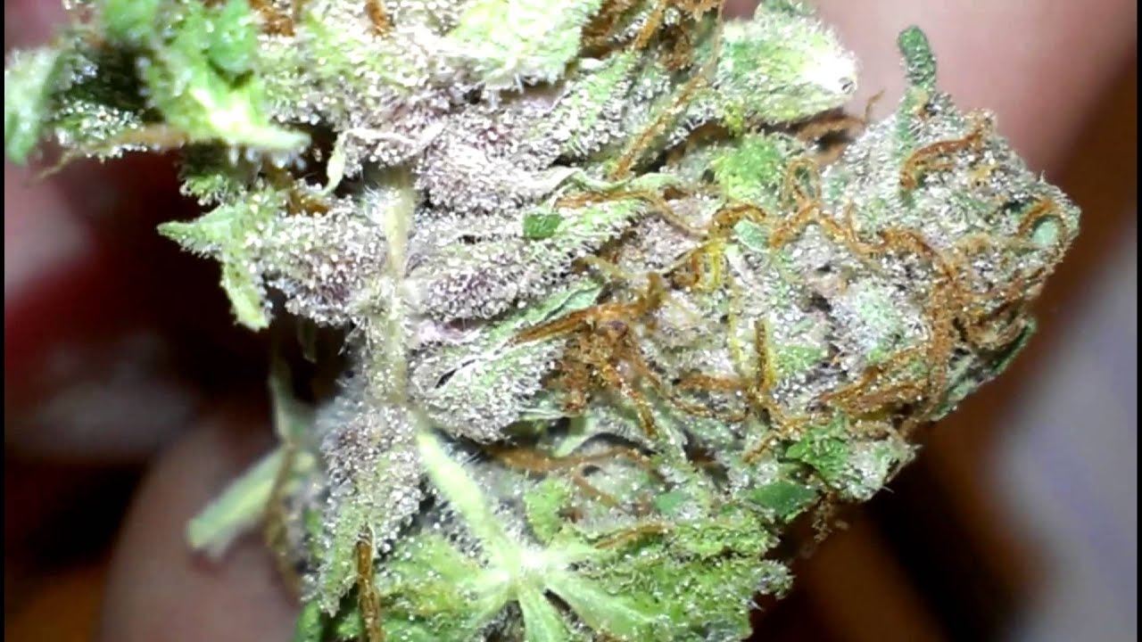 Lean Mean Green Weed