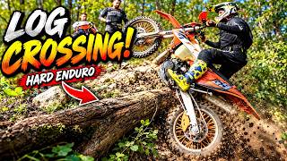 We Were NOT Ready for This Log Crossing!