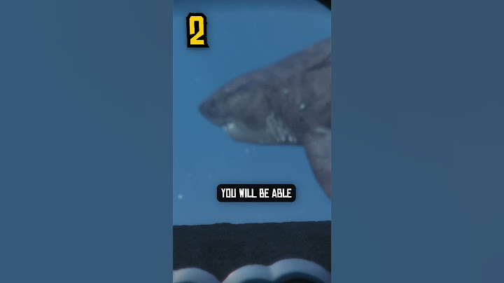 NEVER FIND THIS SHARK IN GTA 5 😨 #shorts #gta5