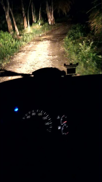 story wa & ig nyetir truk lewat hutan terbaru