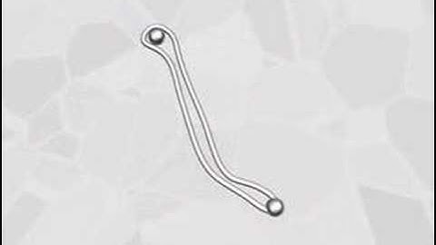 Not null-homotopic Paths